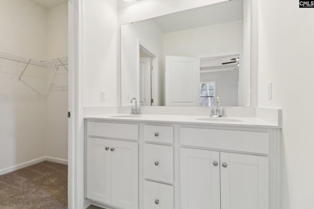 518 Griffon Drive, Chapin, SC 29036