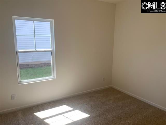 518 Griffon Drive, Chapin, SC 29036