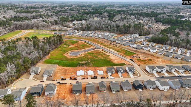 518 Griffon Drive, Chapin, SC 29036