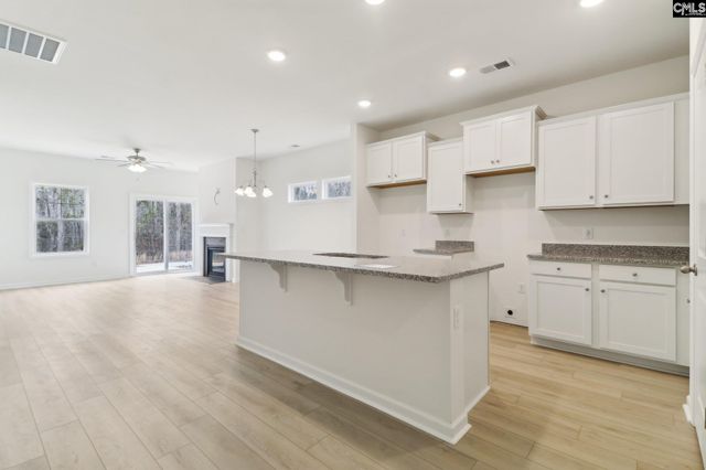518 Griffon Drive, Chapin, SC 29036