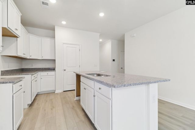 518 Griffon Drive, Chapin, SC 29036