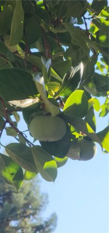 10 Roseanna Court, Chico, CA 95973