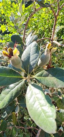 10 Roseanna Court, Chico, CA 95973