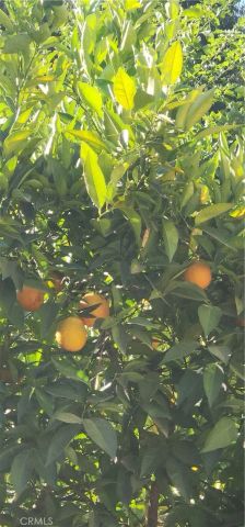 10 Roseanna Court, Chico, CA 95973