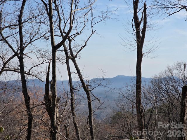 Lot 45 Ridgecrest Drive, Lake Lure, NC 28746