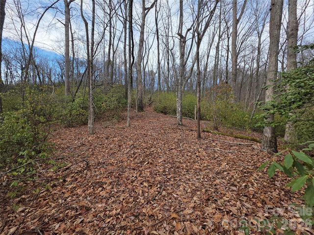 Lot 45 Ridgecrest Drive, Lake Lure, NC 28746