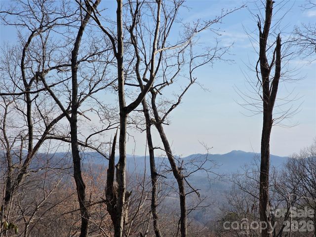 Lot 45 Ridgecrest Drive, Lake Lure, NC 28746