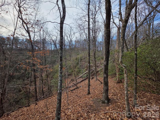 Lot 45 Ridgecrest Drive, Lake Lure, NC 28746