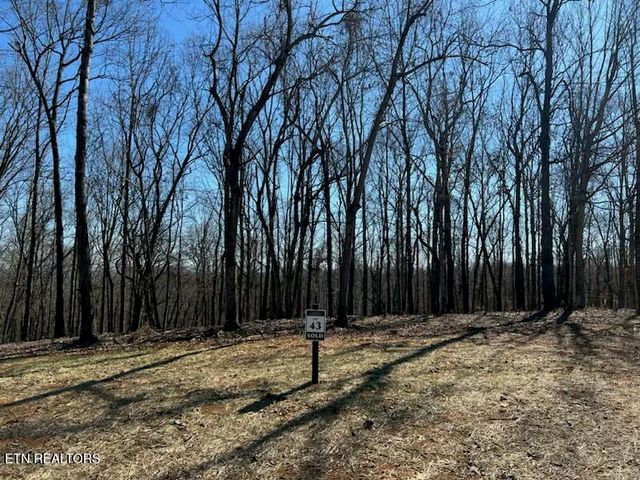 2908 Old Dogwood Tr, Loudon, TN 37774