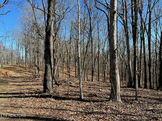 2908 Old Dogwood Tr, Loudon, TN 37774