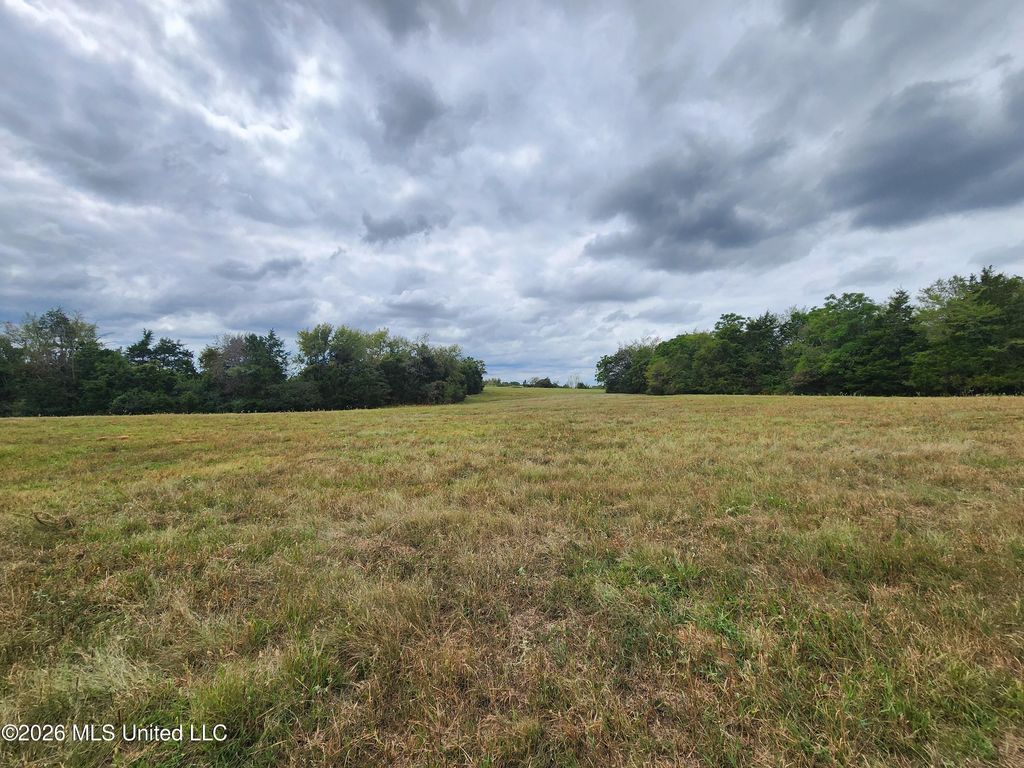 10.2 Old Memphis Oxford Road, Coldwater, MS 38618 — photo 4