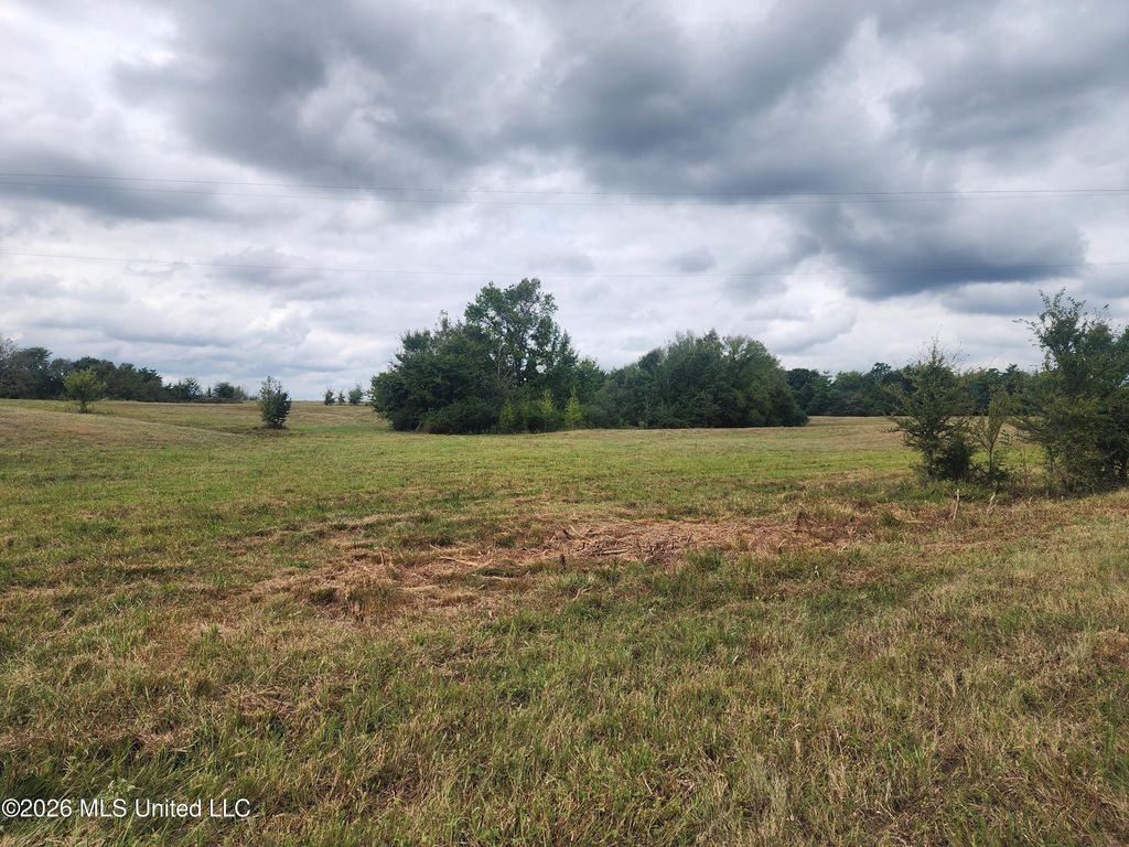 10.2 Old Memphis Oxford Road, Coldwater, MS 38618 — photo 5