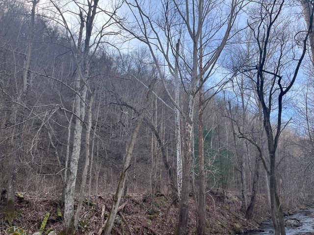 249 W Main Street, Lynch, KY 40855