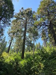 0 Lovers Lane, Cedarpines Park, CA 92322