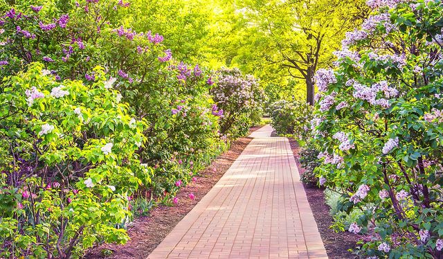 31 E Grove Street 501, Lombard, IL 60148