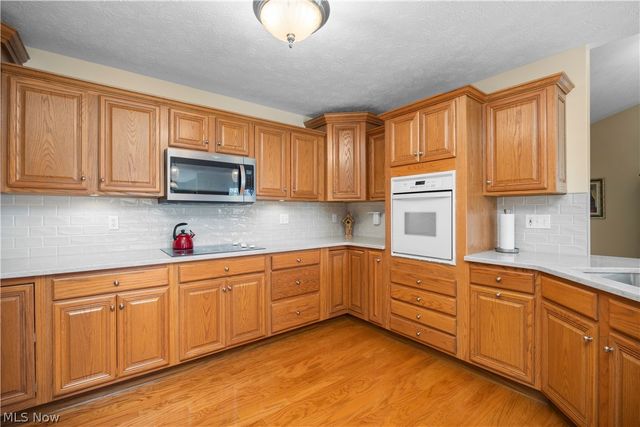 1009 Glendalough Drive, Grafton, OH 44044