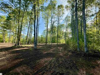 1155 E Solaris Way, Maple City, MI 49664