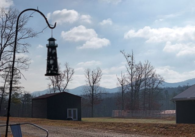 41 Old Wilscott Lane, Blairsville, GA 30512