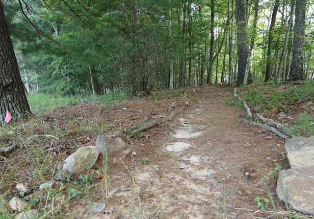 41 Old Wilscott Lane, Blairsville, GA 30512