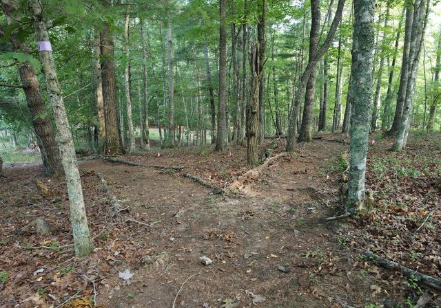 41 Old Wilscott Lane, Blairsville, GA 30512