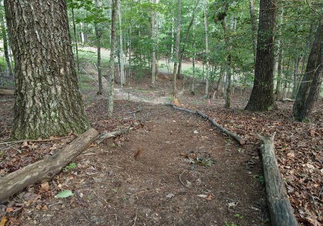 41 Old Wilscott Lane, Blairsville, GA 30512