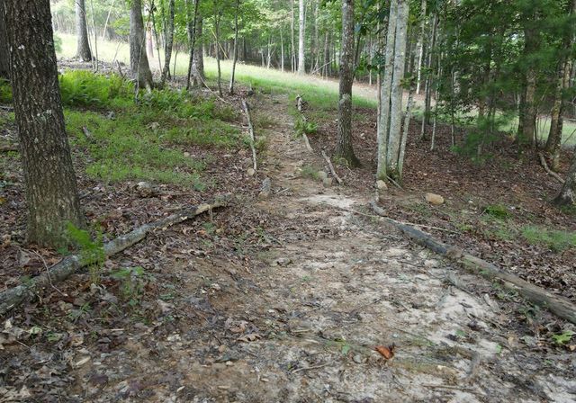 41 Old Wilscott Lane, Blairsville, GA 30512