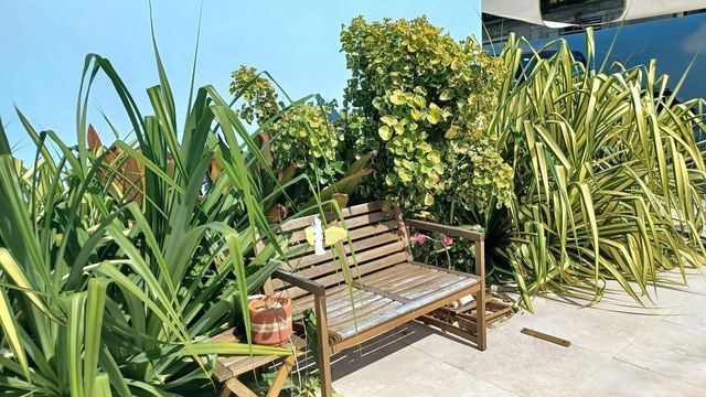 522 CALLE BALDORIOTY, Vieques, PR 00765