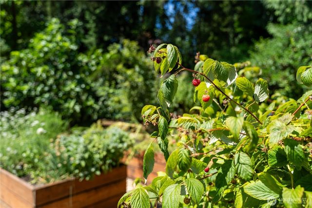 1127 204th Place SE, Bothell, WA 98012