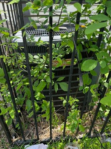 2671 Moffatt Avenue, Dallas, TX 75216