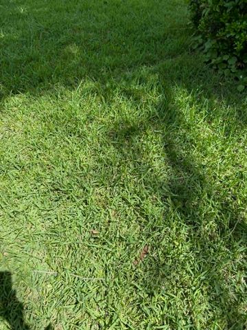 2671 Moffatt Avenue, Dallas, TX 75216