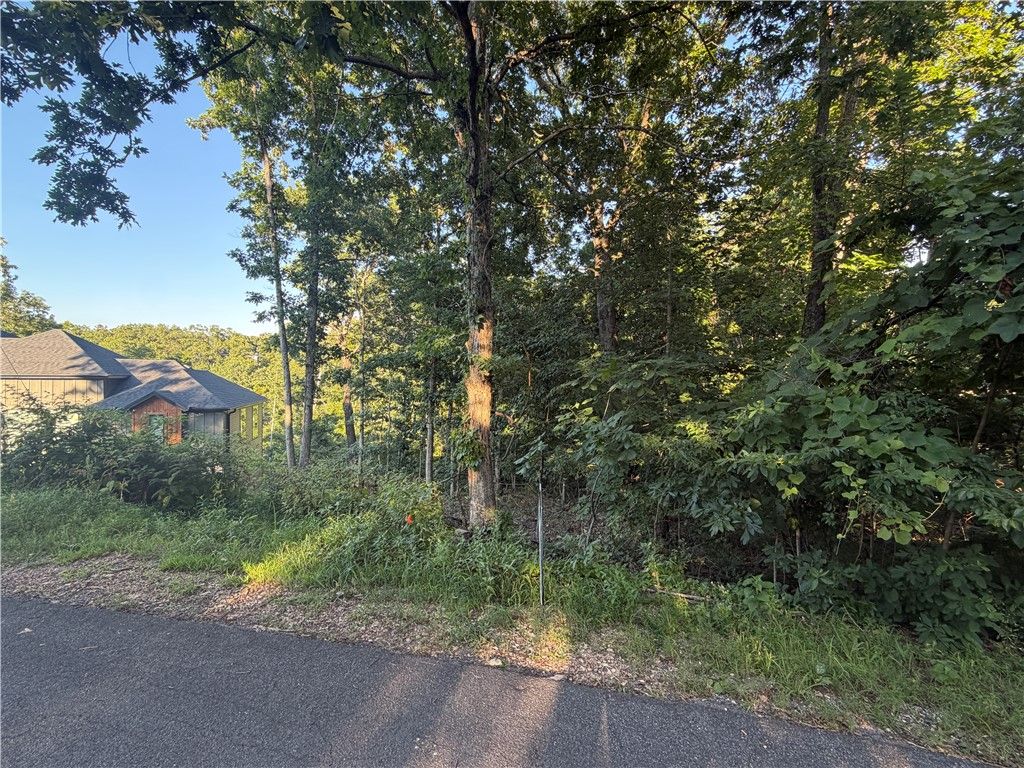 Brigadoon Drive, Bella Vista, AR 72715