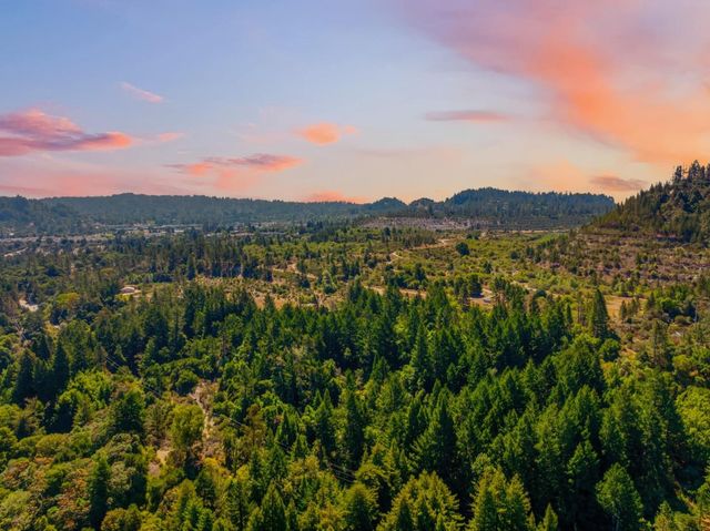 4 Glen Alpine Avenue, Mount Hermon, CA 95041