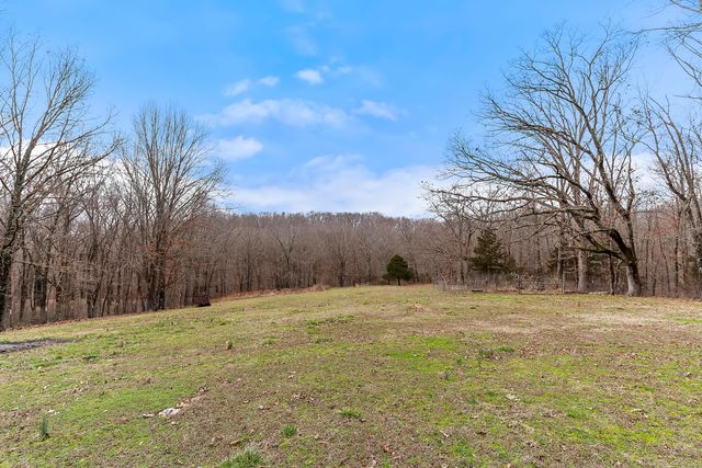 117 Chelsea Lane, Clever, MO 65631