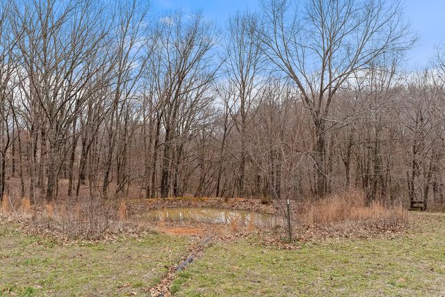 117 Chelsea Lane, Clever, MO 65631