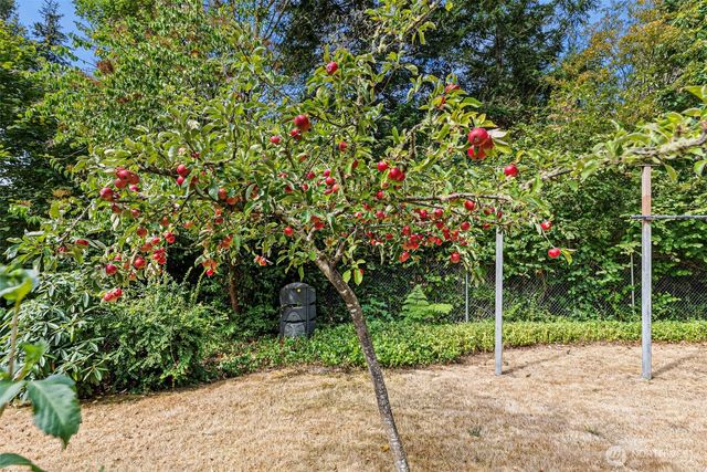 825 Jewil Drive, Fox Island, WA 98333