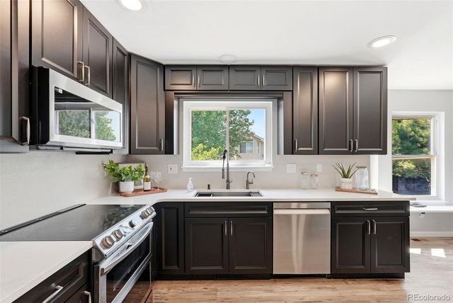 4590 Squirreltail Drive, Colorado Springs, CO 80920