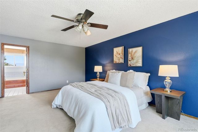 4590 Squirreltail Drive, Colorado Springs, CO 80920