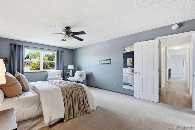 4590 Squirreltail Drive, Colorado Springs, CO 80920