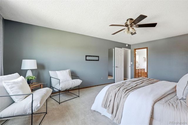4590 Squirreltail Drive, Colorado Springs, CO 80920