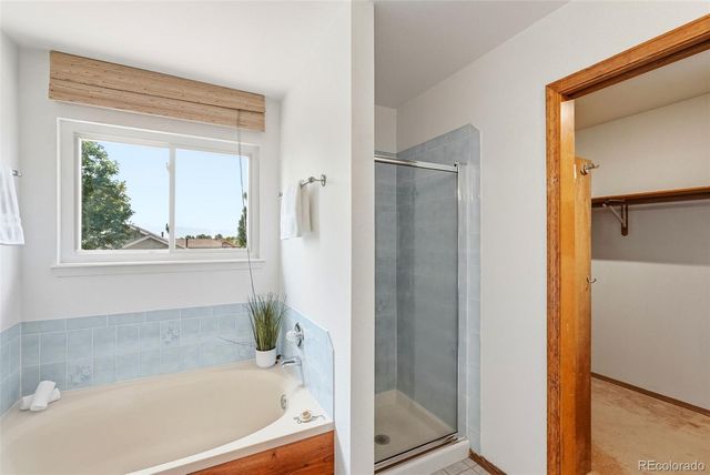 4590 Squirreltail Drive, Colorado Springs, CO 80920