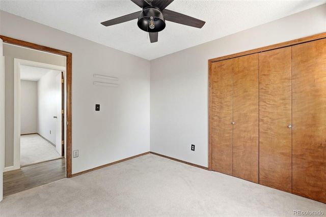 4590 Squirreltail Drive, Colorado Springs, CO 80920
