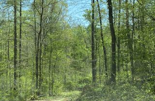 0 Day Cemetery Lane, Stewart, TN 37175