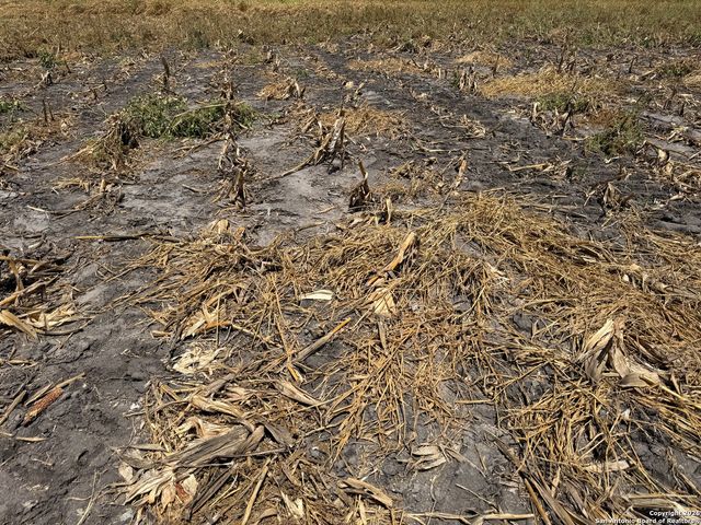 123 FM 534, Mathis, TX 78368