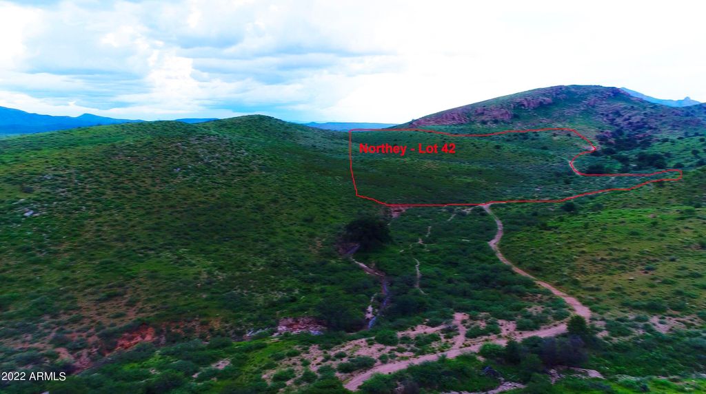 Lot 42 N Hidden Oaks Trail 39 acres -- 42, Douglas, AZ 85607