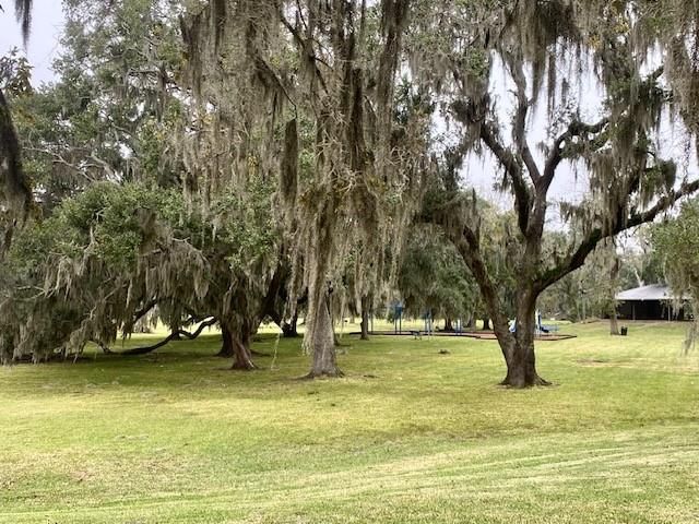 218 Cattle Drive Trail, Angleton, TX 77515