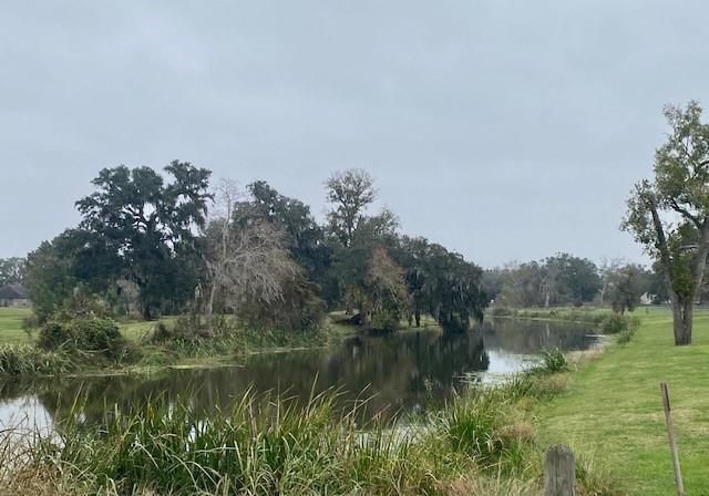 218 Cattle Drive Trail, Angleton, TX 77515