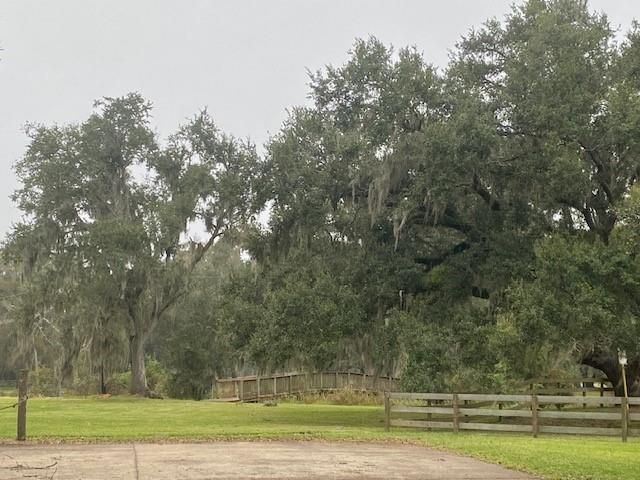 218 Cattle Drive Trail, Angleton, TX 77515