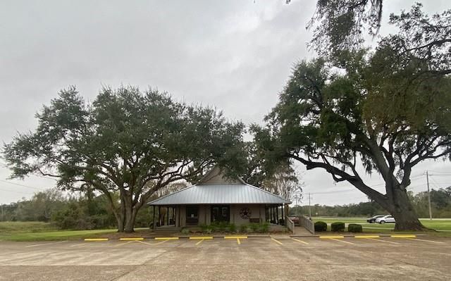 218 Cattle Drive Trail, Angleton, TX 77515