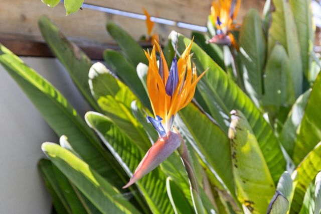 600 Comet Drive, Foster City, CA 94404