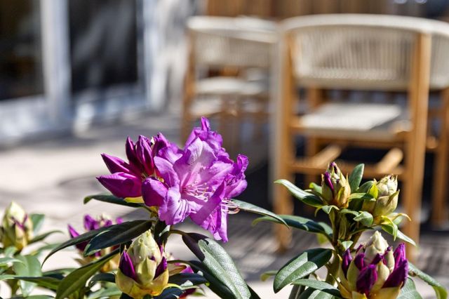 600 Comet Drive, Foster City, CA 94404